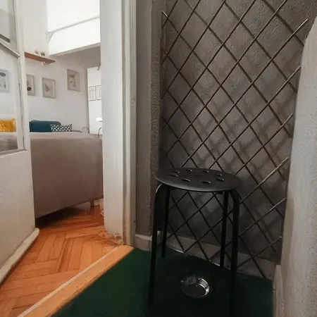 Cosy Jana Белград